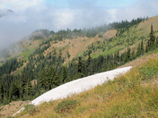 Olympic National Park