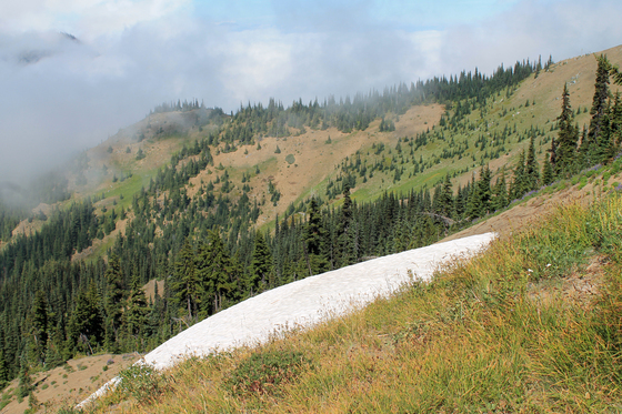 Olympic National Park