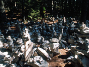 Green Mountain National Forest