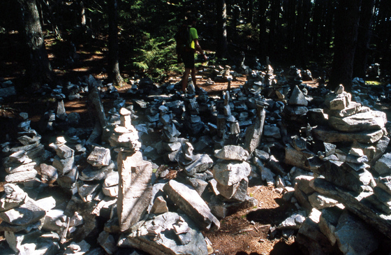 Green Mountain National Forest