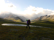 Denali National Park