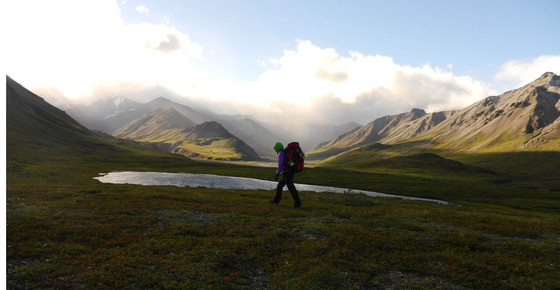 Denali National Park