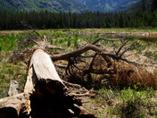 Rocky Mountain National Park