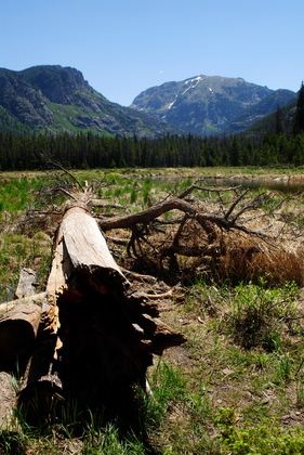 Rocky Mountain National Park