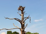 Fort Pickens National Park