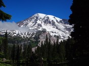 Mt. Rainier National Park