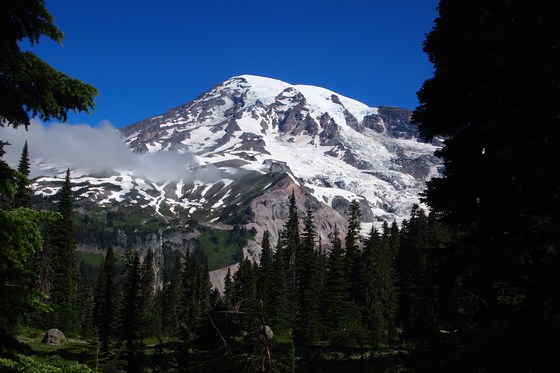 Mt. Rainier National Park