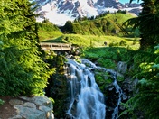 Mt. Rainier National Park