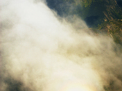 Shadow among the clouds