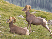 Rocky Mountain National Park