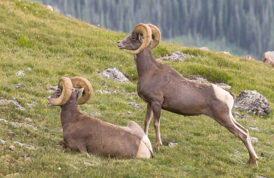Rocky Mountain National Park