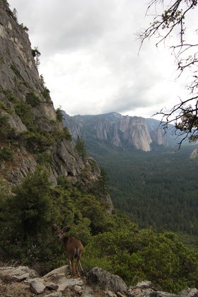 Yosemite National Park