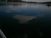  Trail Lake Utah 