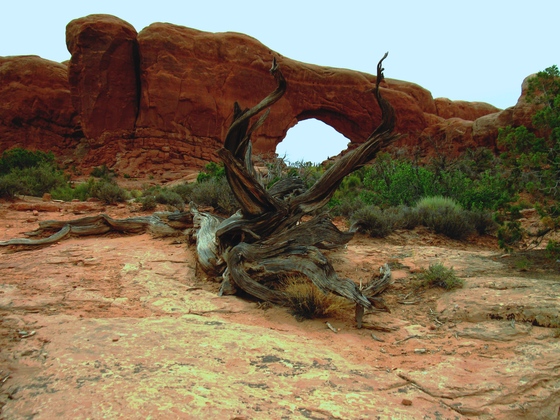 Arches National Park