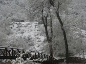 Zion National Park