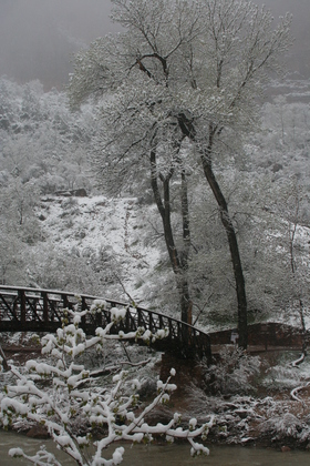 Zion National Park