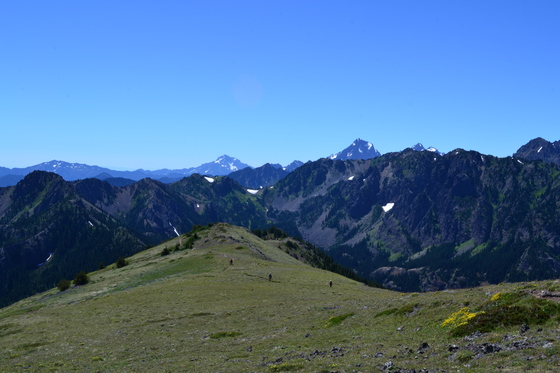 Olympic National Park