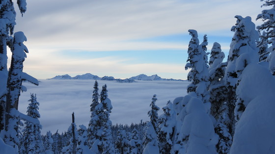Olympic National Park