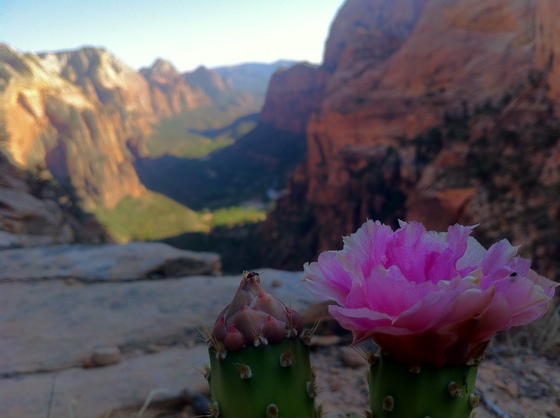 Zion National Park