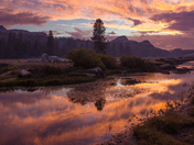 Yosemite national park