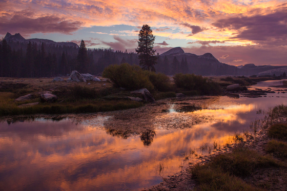 Yosemite national park