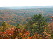 Mark Twain National Forest