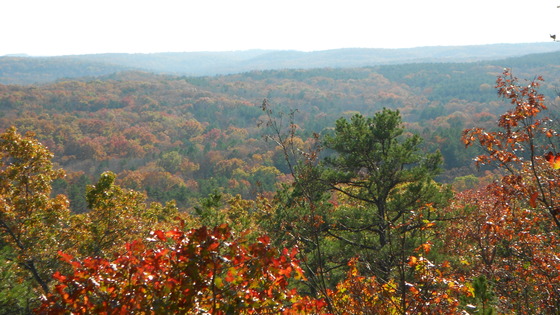 Mark Twain National Forest