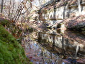 Mark Twain National Forest