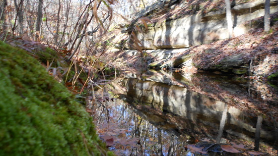 Mark Twain National Forest