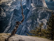 Yosemite National Park
