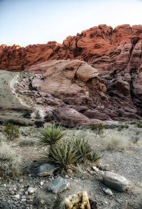 Red Rock Canyon Conservation Area