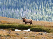 Rocky Mountain National Park