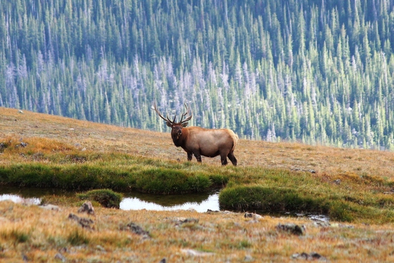 Rocky Mountain National Park