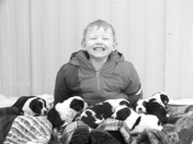 A Little Boy and his Pups