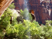 Zion National Park
