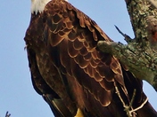 Mosquito Lake Wildlife Refuge