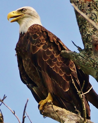 Mosquito Lake Wildlife Refuge