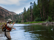 Golden Trout Wilderness
