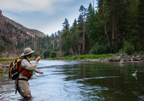 Golden Trout Wilderness