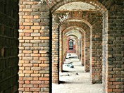 Dry Tortugas