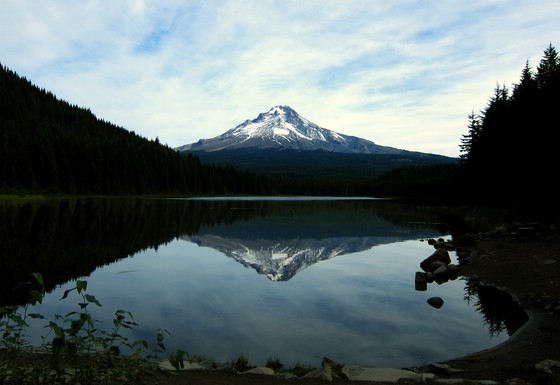 Mt Hood