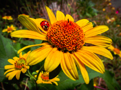 Preparing for the fall