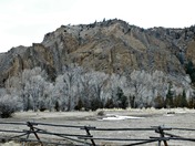 Shoshone National Forest