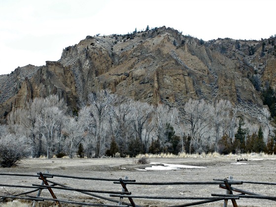 Shoshone National Forest