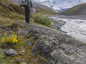 Denali National Park
