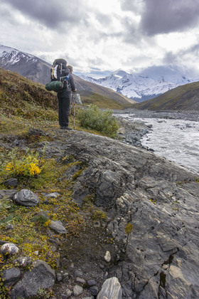 Denali National Park
