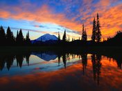 Mount Rainier National Park