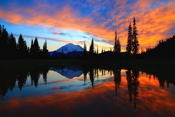 Mount Rainier National Park