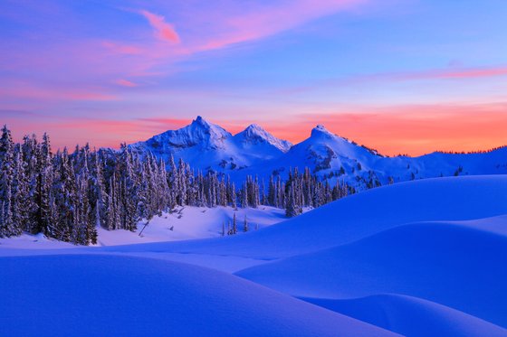 Mount Rainier National Park
