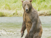 Katmai National Park